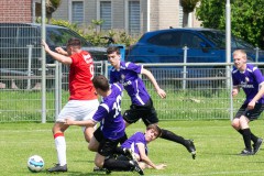 DVSG1-Batavia1-_-13