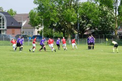 DVSG1-Batavia1-_-15