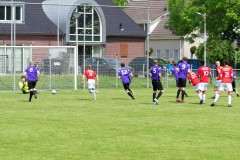 DVSG1-Batavia1-_-16