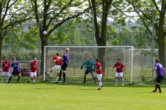 DVSG1-Batavia1-_-33